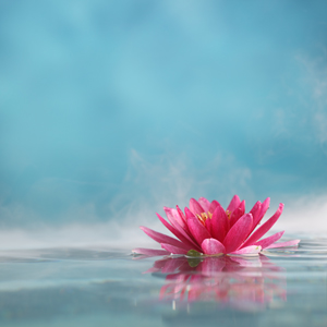 individual clinicians - water lily - family recovery institute